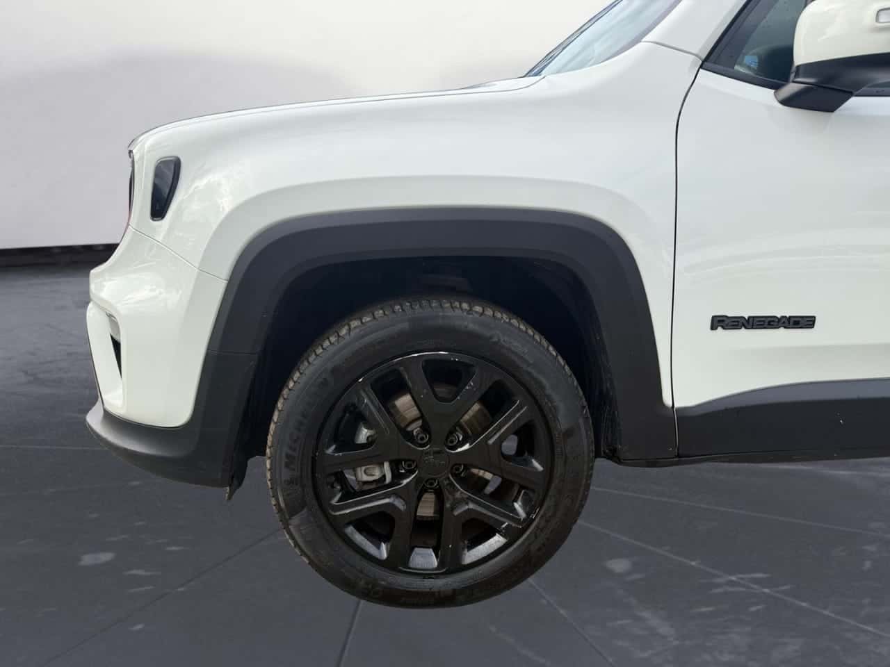 Jeep Renegade 2.0 Mjet 103 kW 140 CV Night Eagle 4x4 — foto 9 de 27